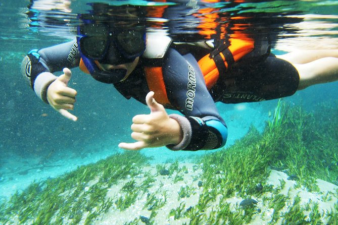 Snorkel in the Sucuri River - What happens during the two-hour river float