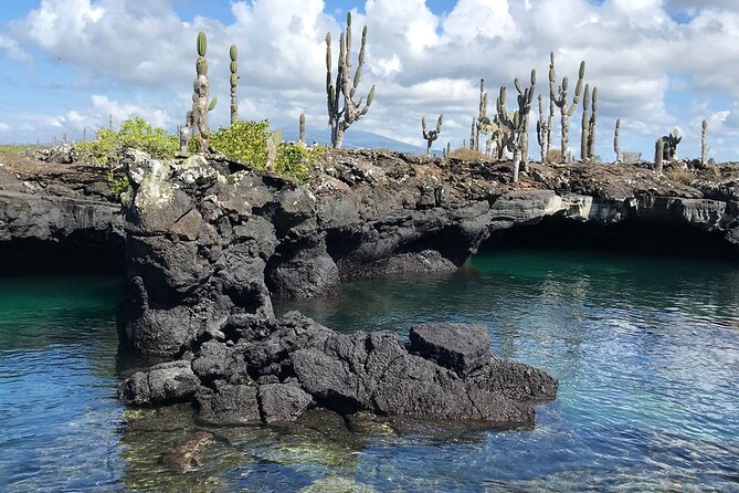 Snorkeling in Cabo Rosa Tunnels Isabela Island - Key points to know before booking