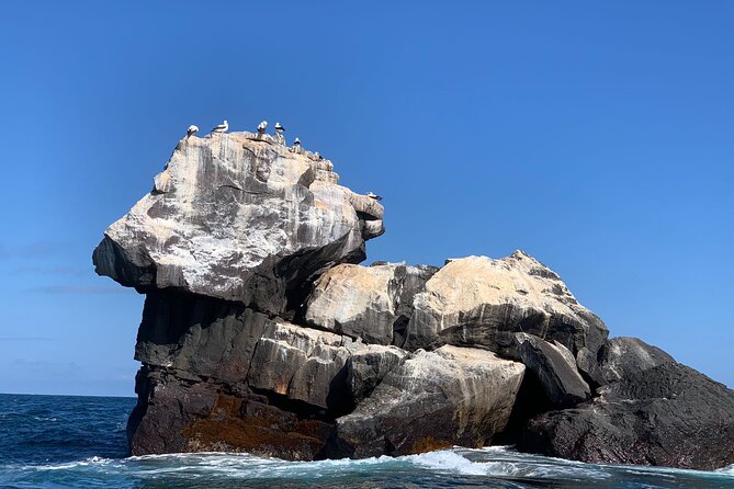 Snorkeling in Cabo Rosa Tunnels Isabela Island - Why Los Tuneles is special