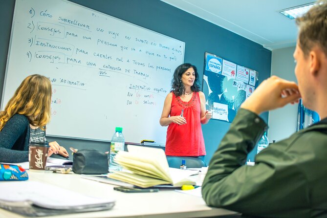 Spanish Group Course in Buenos Aires, Argentina: 20 Lessons - What the 20 lessons can realistically do