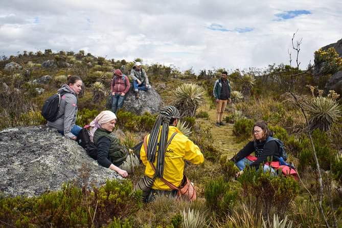 Sumapaz Páramo Private Hike Tour - What makes the flora and water wells special