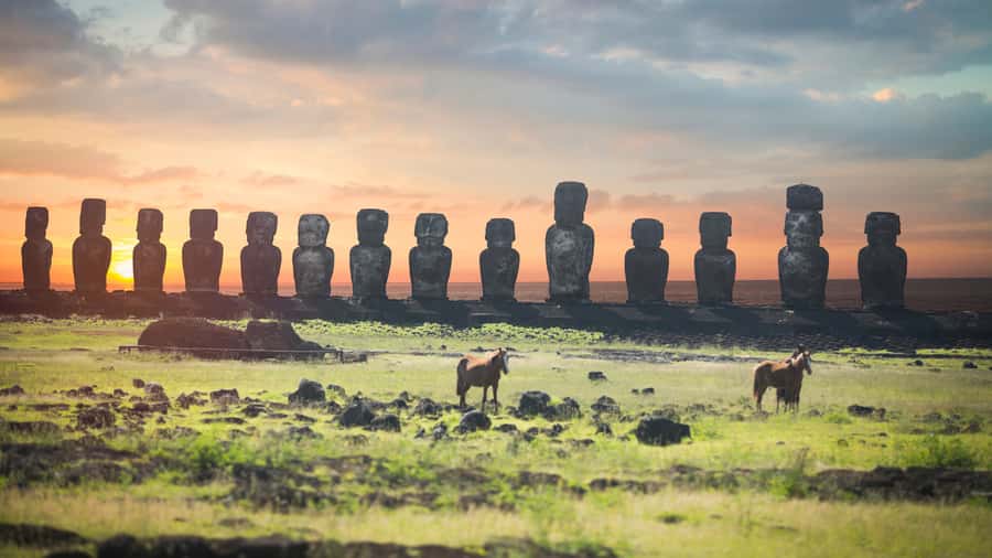 Sunrise Tongariki: Sunrise at Tongariki Park Private Tour - What the $120 price gives you