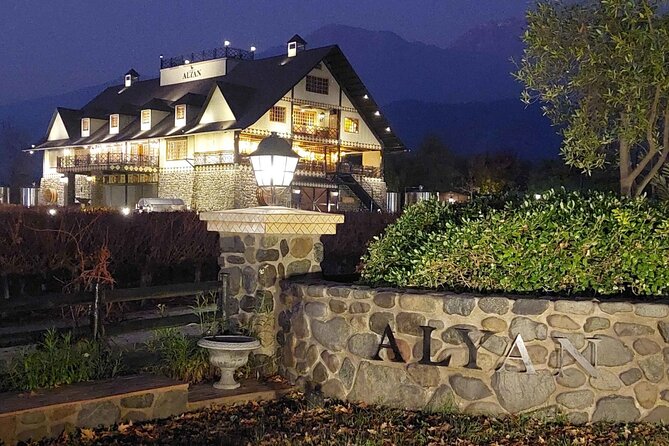 Sunset Alyan + 6 wines + individual snack + rustic dinner - Six wines, generous pours, and the food served alongside them