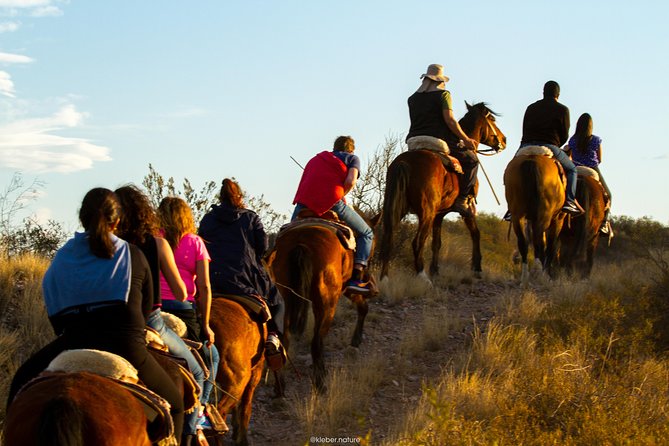 Sunset Horseback Riding - Should You Book the Sunset Horseback Ride?