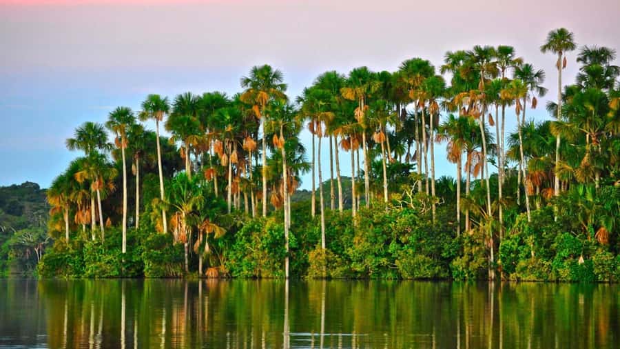 Tambopata Peruvian Amazon Jungle for Three Days/Two Nights - Lake Sandoval: the main wildlife outing