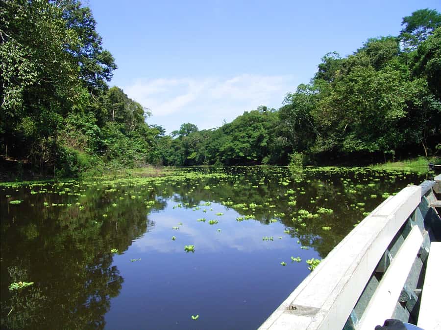 Tambopata Peruvian Amazon Jungle for Three Days/Two Nights - The clay lick before breakfast