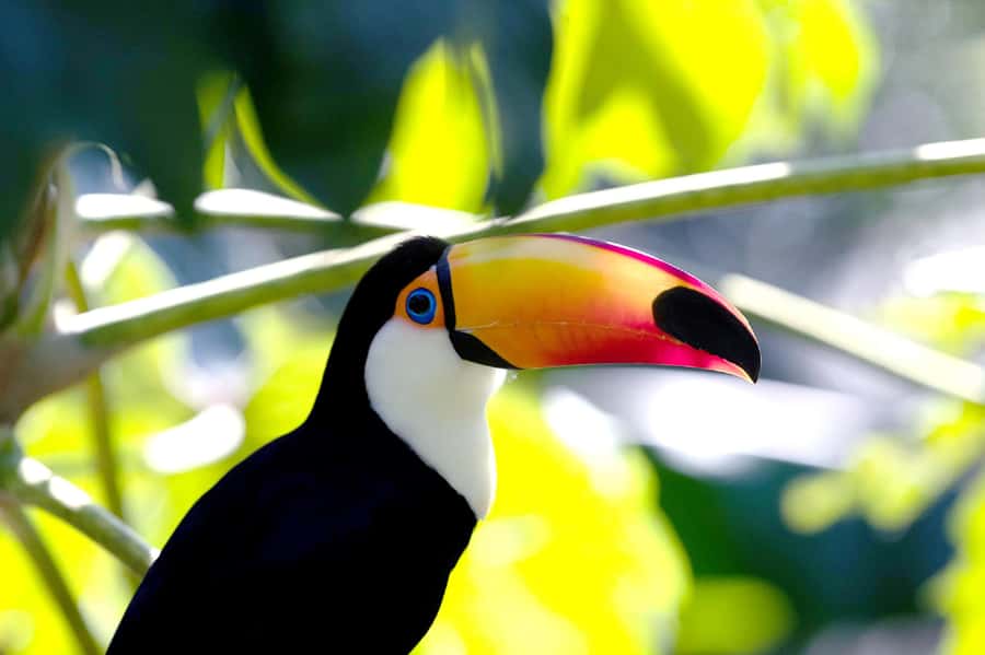 Temaiken Biopark Entry Tickets - Who Will Enjoy Temaiken Most?