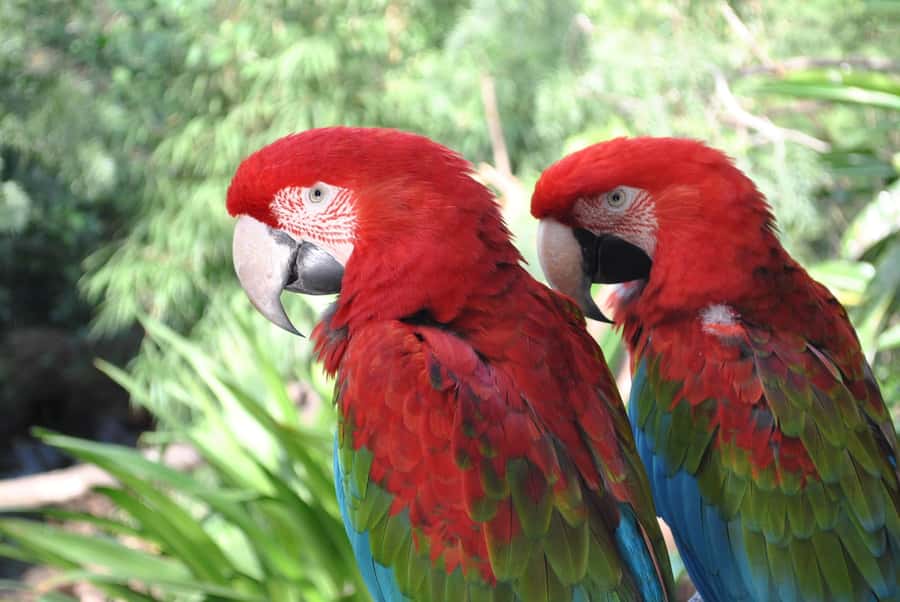 Temaiken Biopark Entry Tickets - The Aquarium Gives the Day a Change of Pace
