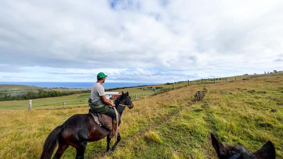 Terevaka Horse Excursion: The highest point and 360° view. - Key points before you saddle up