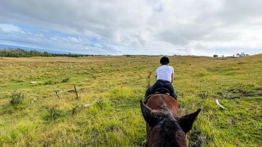 Terevaka Horse Excursion: The highest point and 360° view. - At the summit, the island opens up