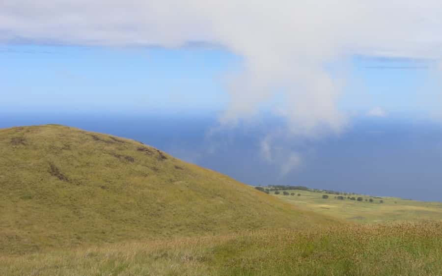 Terevaka Horse Excursion: The highest point and 360° view. - Who will enjoy this most