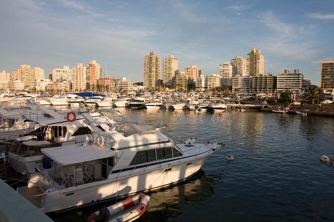 The Best Punta del Este Day Trip from Montevideo - Key points to know before booking