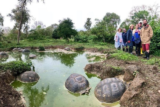 The Galapagos Giant Tortoise Experience + Los Gemelos | Shared - Who should book this Santa Cruz tour?