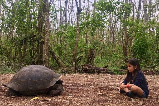 The Galapagos Giant Tortoise Experience + Los Gemelos | Shared - Los Gemelos and the one-mile forest walk
