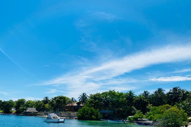 Tour of the Rosario Islands, Cartagena - Isla Grande snorkeling above coral reefs