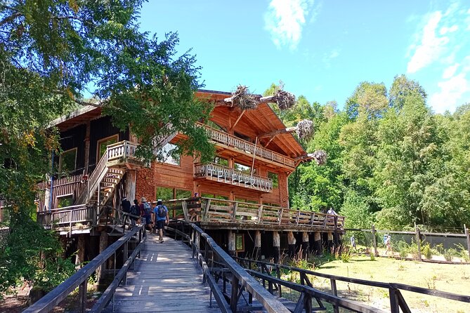 Tour to Huilo Huilo from Pucón, Villarrica - The Deer and Wild Boar Path