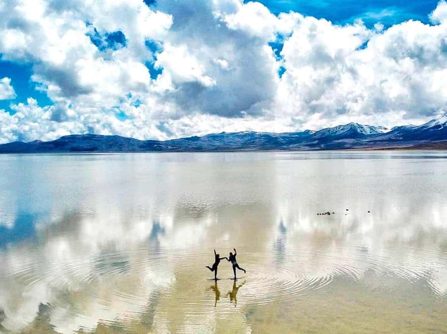 Tour to the Salinas Lagoon and National Reserve in Arequipa - Key points before you book