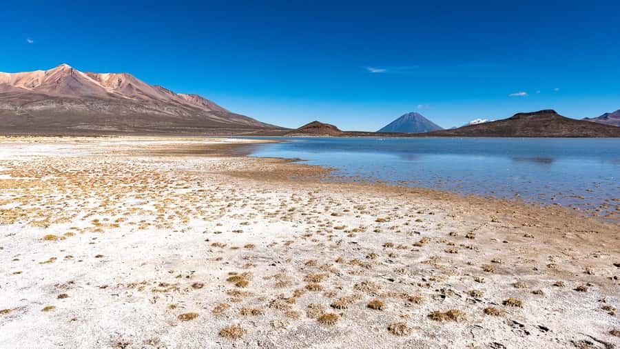 Tour to the Salinas Lagoon and National Reserve in Arequipa - Who will enjoy this Arequipa day trip