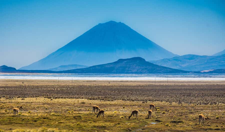 Tour to the Salinas Lagoon and National Reserve in Arequipa - Altitude, weather, and what to pack