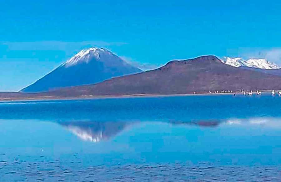 Tour to the Salinas Lagoon and National Reserve in Arequipa - Chiguata and the Mirador de los Volcanes