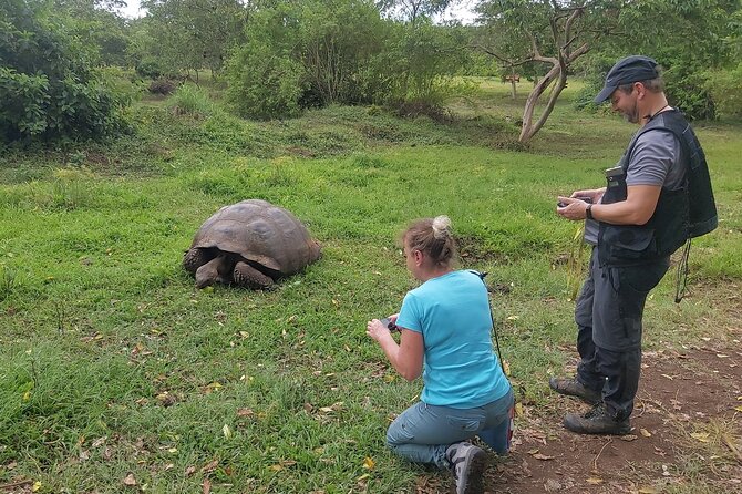 Transfer Airport-hotel in Galapagos Santa Cruz with visit to Giant Tortoises - Who will get the most from this experience