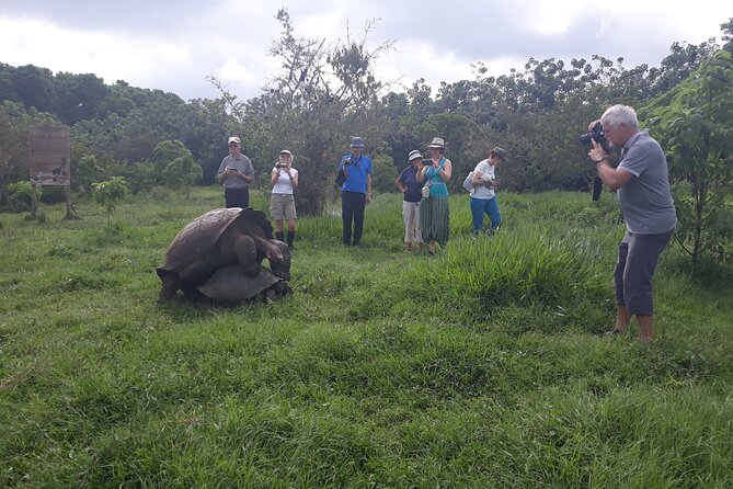 Transfer Airport-hotel in Galapagos Santa Cruz with visit to Giant Tortoises - Walking through the lava tunnels