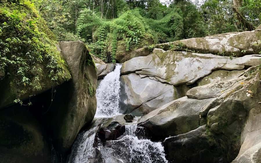 Trekking History and Indigenous Heritage in Minca + Cacao & Coffee + Waterfall - Walking trails connected to Tayrona heritage
