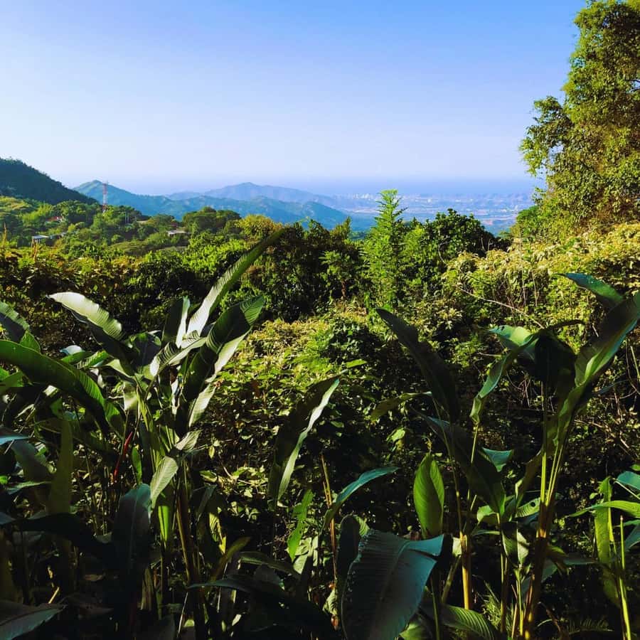 Trekking History and Indigenous Heritage in Minca + Cacao & Coffee + Waterfall - What to pack for the 4.5-hour outing