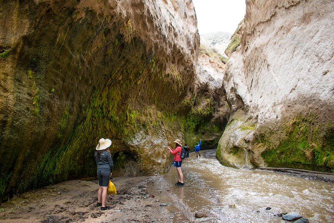Trekking, Waterfalls and Thermal Baths - What $62 buys you