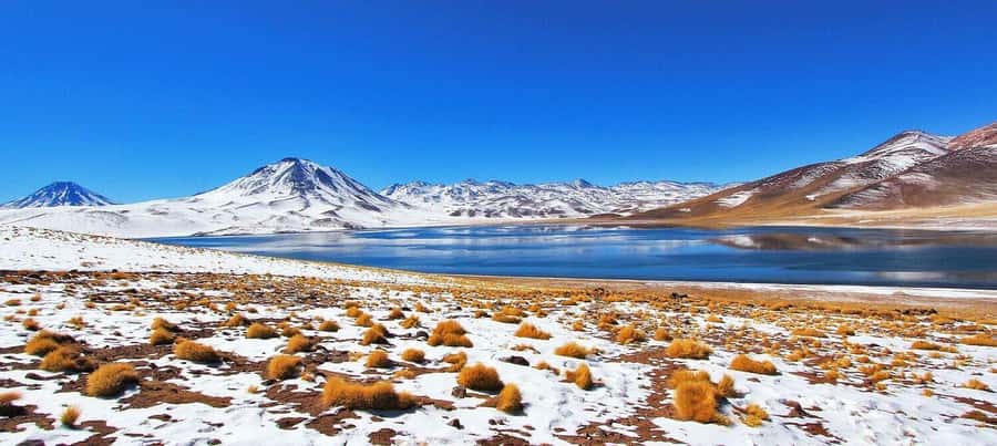 Triple tour: Red stones, highland lagoons and Chaxa Lagoon - Key points to know before you go