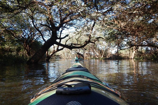 TRU KAYAK - Cruise along the majestic Uruguay River - Choosing the route for your group