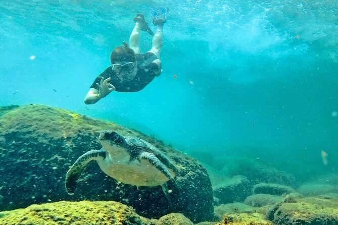 Turtle Snorkeling by Adrenailha - The main attraction: turtles and rocky reefs