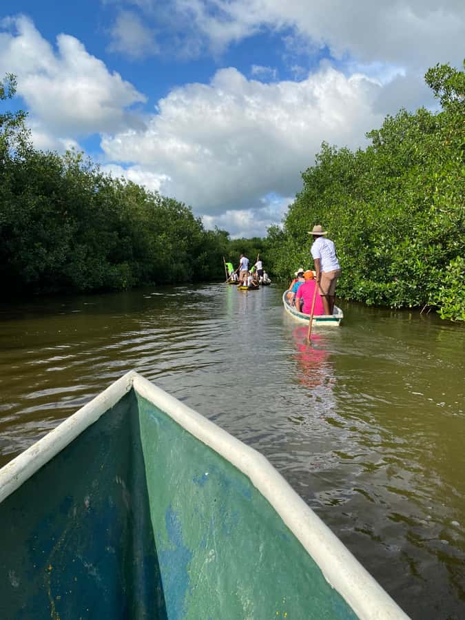 Typical lunch on beach, mangrove tour & fishing with natives - Fisherman Island and a community welcome