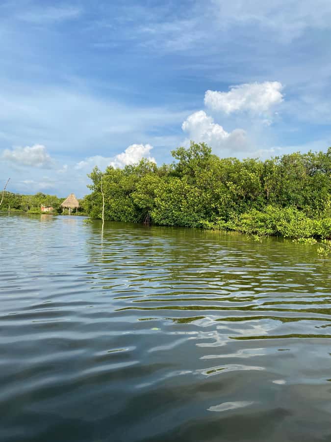 Typical lunch on beach, mangrove tour & fishing with natives - Guides make the biggest difference