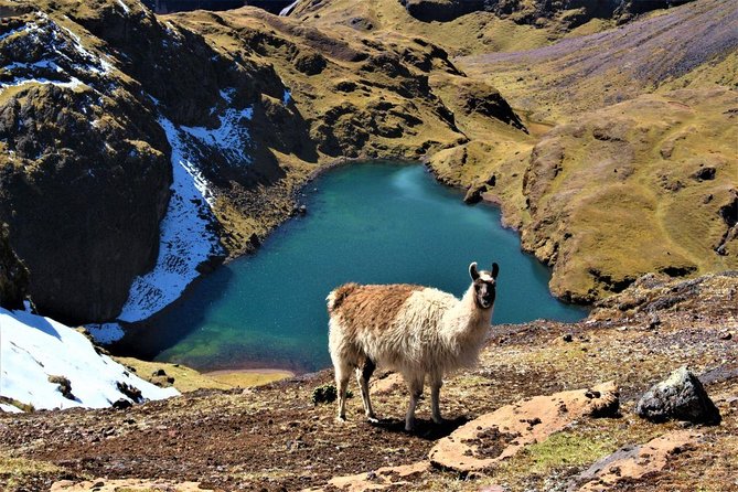 Ultimate Lares Trek & Inca Trail 5 days - Is $980 a fair price?