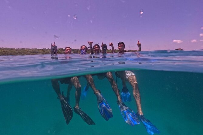 Under a sea of adventures, unforgettable diving. - From Muelle de la Bodeguita to open water