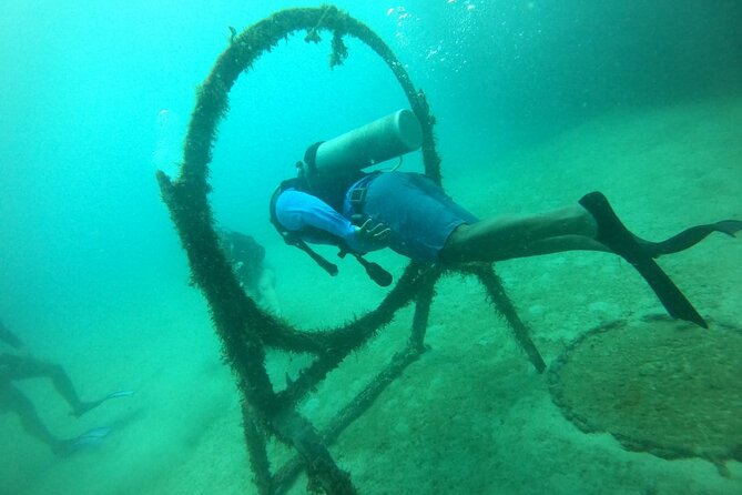 Under a sea of adventures, unforgettable diving. - Coral, fish, and the feeling of weightlessness