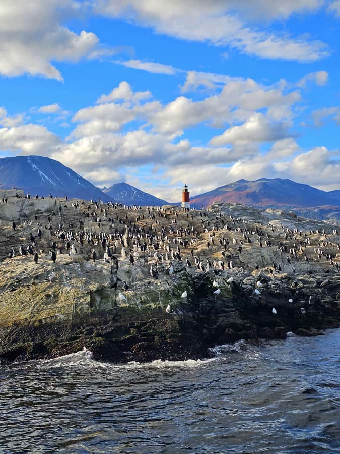 Ushuaia: Beagle Channel and Penguin Island - Getting to Catamaranes Canoero at the Ushuaia Pier