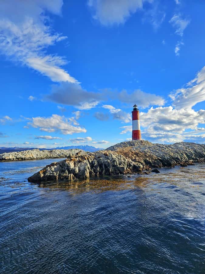 Ushuaia: Beagle Channel and Penguin Island - Bird Island and Sea Lions Island
