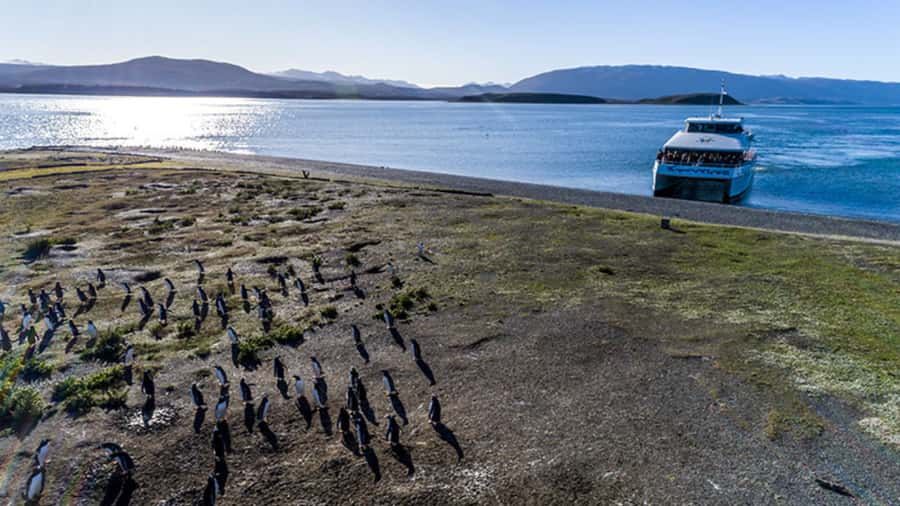 Ushuaia: Beagle Channel and Penguin Island - What the Five Hours Feel Like