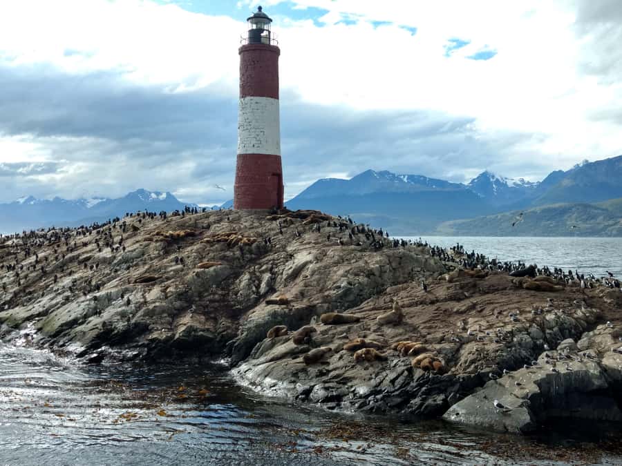 Ushuaia: Beagle Channel & Sea Wolves Island Catamaran Cruise - Is $115 a Fair Price?