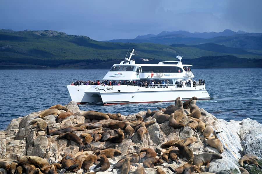 Ushuaia: Beagle Channel, Seal Island & Bridges Islands Tour - Bird Island and the Black-browed Albatross