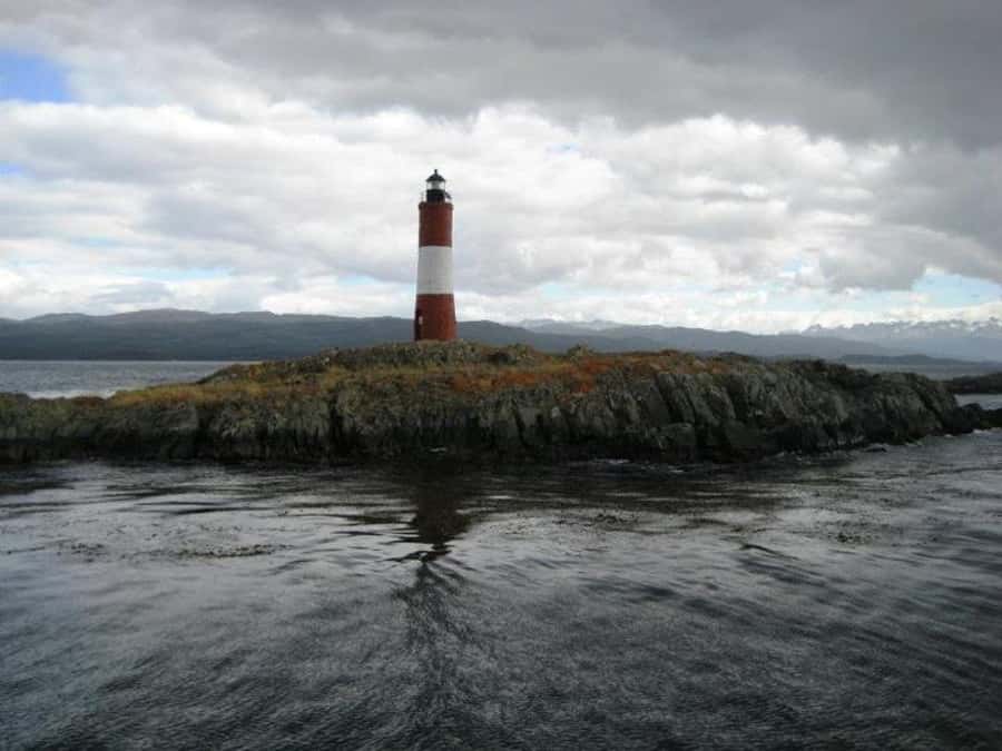 Ushuaia: Beagle Channel, Seal Island & Bridges Islands Tour - What the $88 price really covers