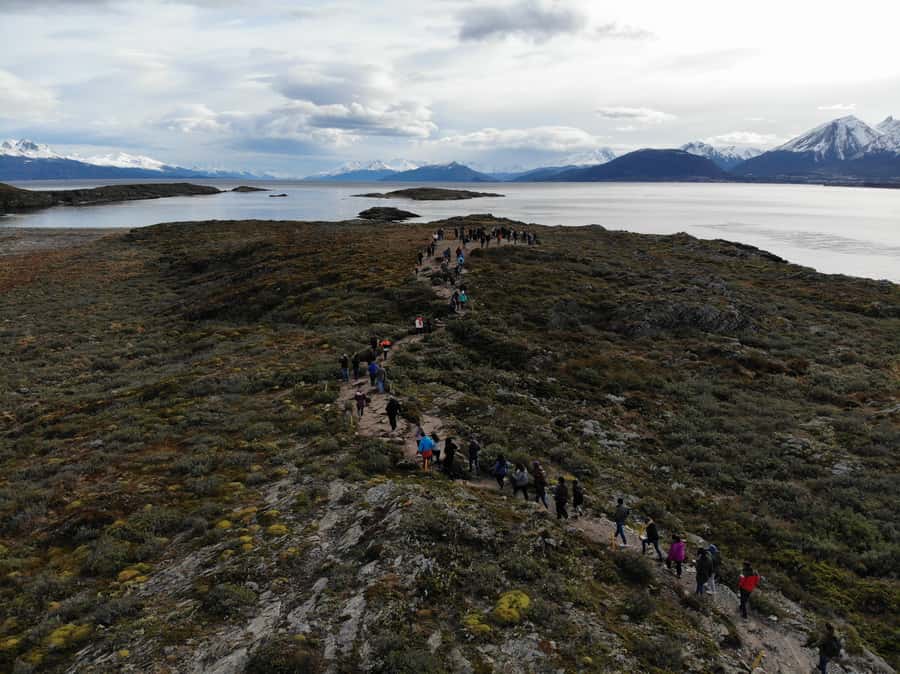 Ushuaia: Beagle Channel, Seal Island & Bridges Islands Tour - Sea lions at Los Lobos Island