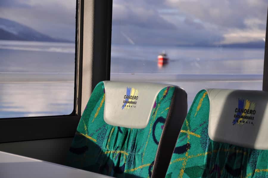 Ushuaia: Penguin Watching Tour by Catamaran - Comfort, guiding, and onboard service