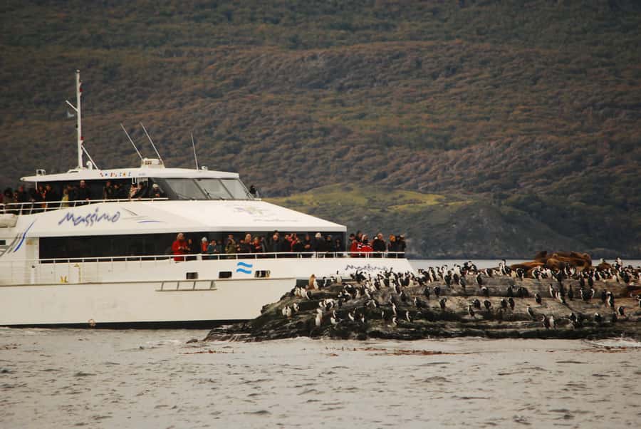 Ushuaia: Penguin Watching Tour by Catamaran - Crossing Ushuaia Bay toward the Beagle Channel