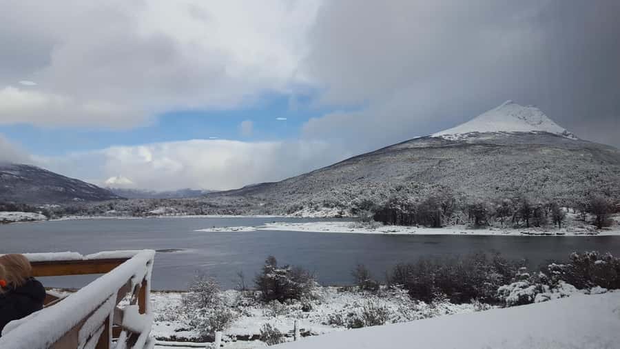 Ushuaia: Tierra del Fuego National Park - The train option can reshape your day