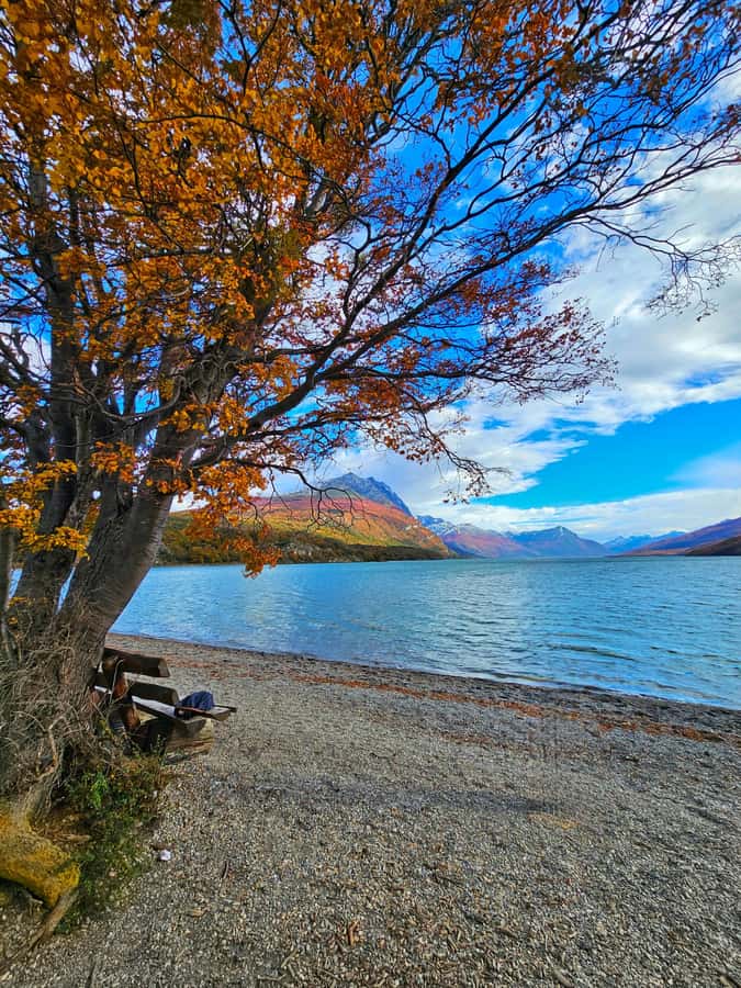Ushuaia: Tierra del Fuego National Park - Who should book this park outing?