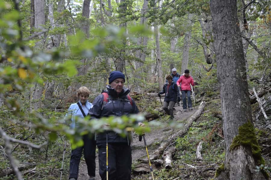 Ushuaia: Tierra del Fuego Trekking and Canoeing - Should you book the Tierra del Fuego canoe and trekking day?