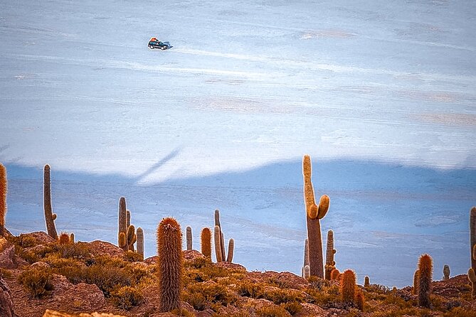 Uyuni Salt Flats 3 Days/ 2 Nights with English Speaking Guide - Day 3: Geysers at dawn and hot springs at 35 C